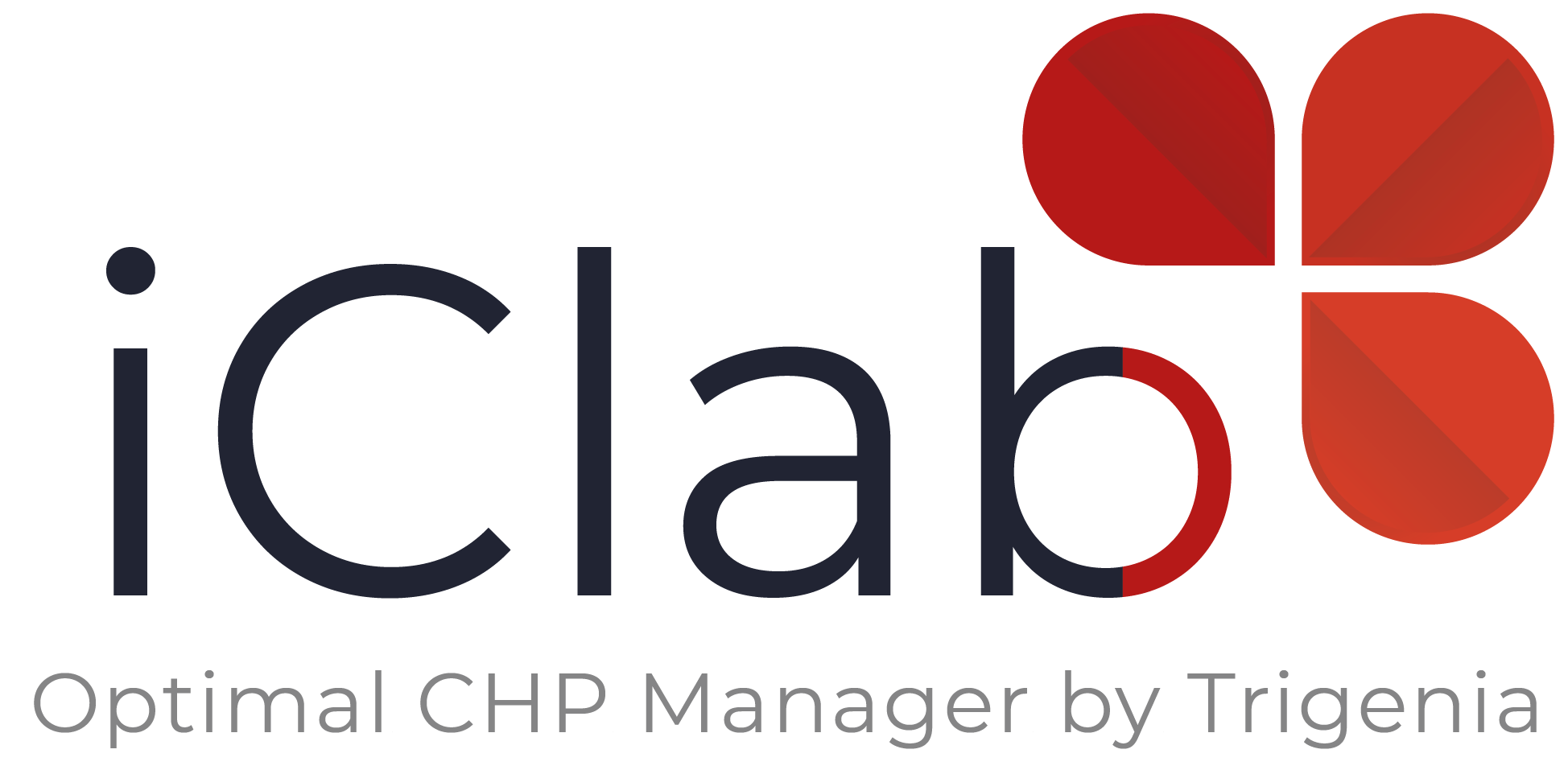 iClab - Optimal conducting system for cogeneration plants